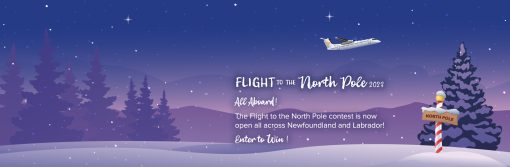 Flight to the North Pole